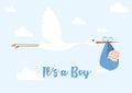 It`s a boy Posters Newborn with a stork